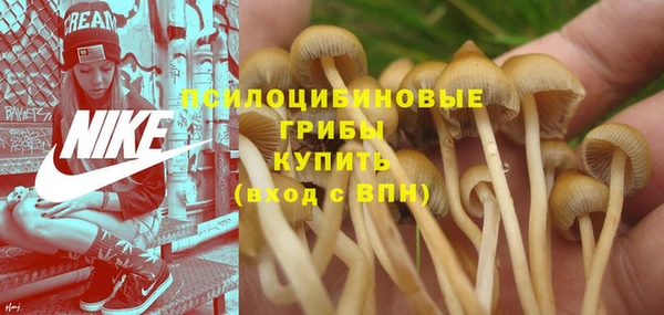 твердый Алексин