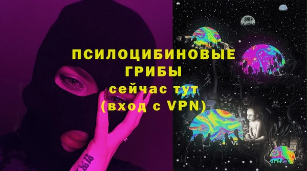 твердый Алексин